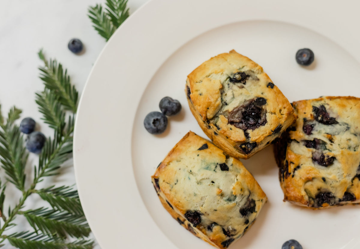Blueberry Scone Pastry Heaven Bakery