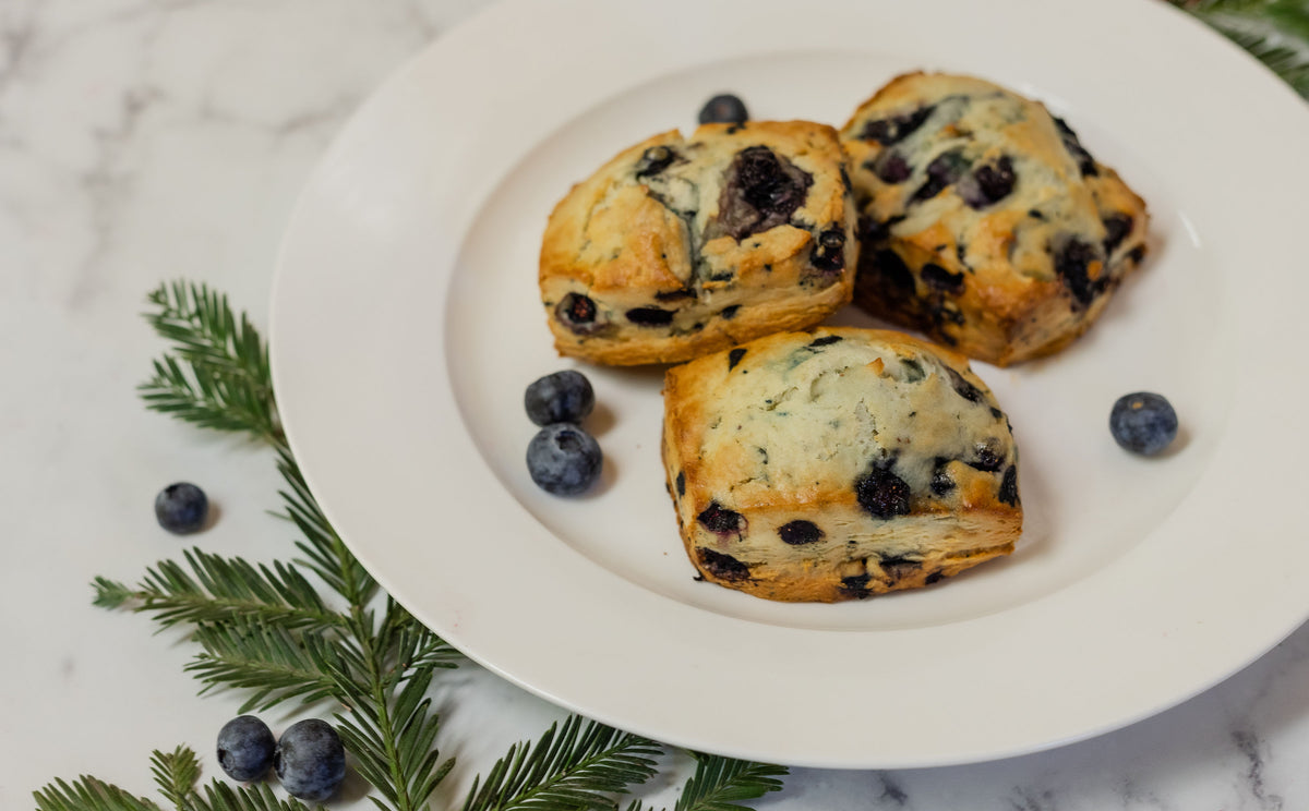 Blueberry Scone Pastry Heaven Bakery